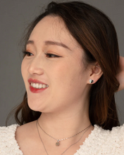Load image into Gallery viewer, BOGO Give Hope Earrings Silver
